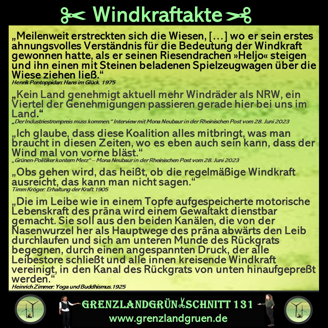 131 Windkraftakte.jpg